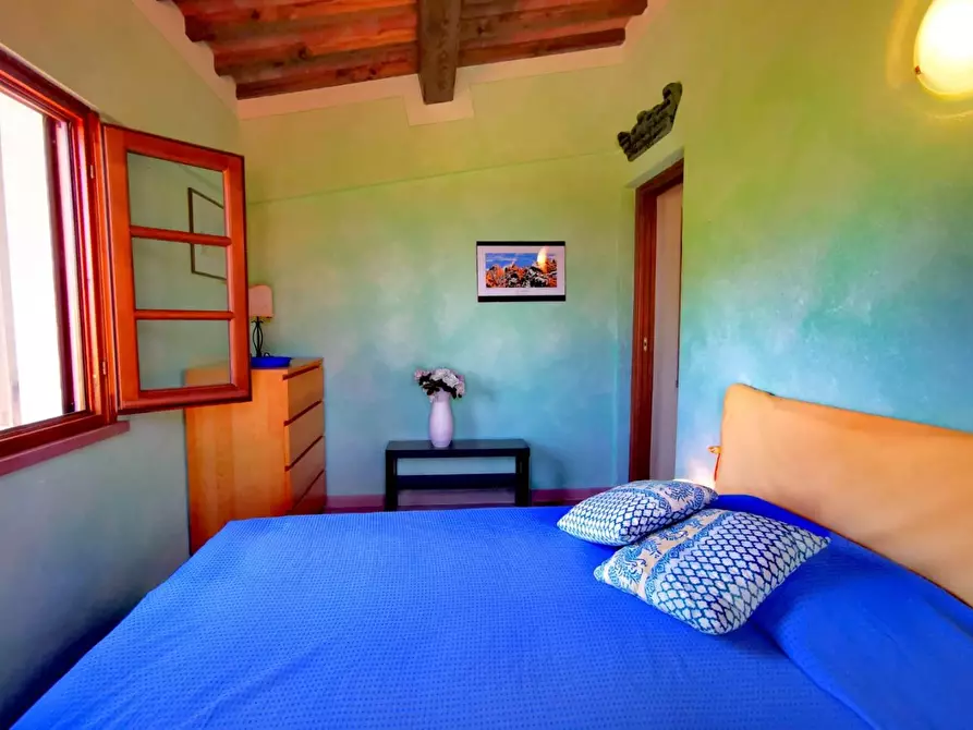 Immagine 22 di Rustico / casale in vendita  a Casciana Terme Lari