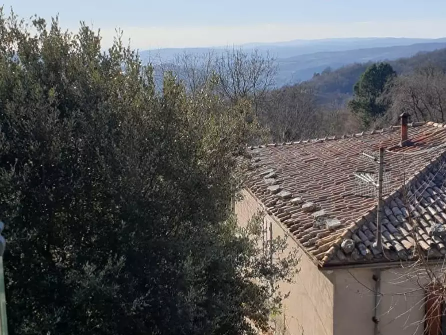 Immagine 9 di Casa indipendente in vendita  a Semproniano