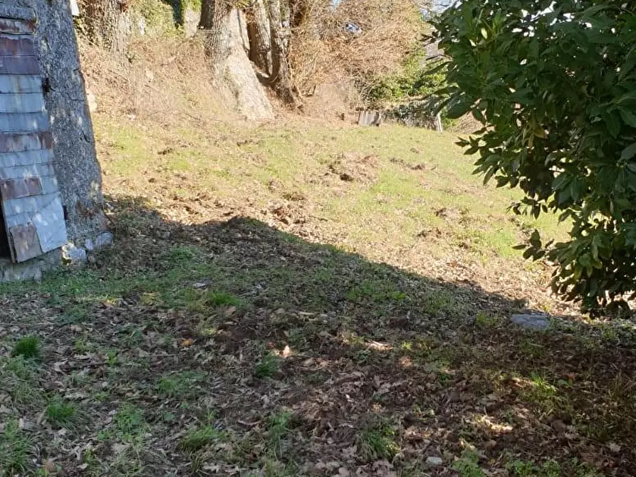 Immagine 27 di Casa indipendente in vendita  a Semproniano