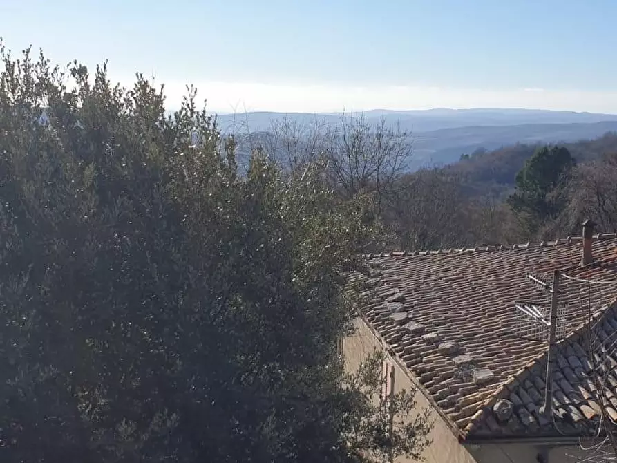 Immagine 6 di Casa indipendente in vendita  a Semproniano