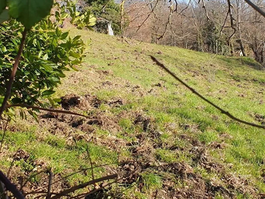 Immagine 4 di Casa indipendente in vendita  a Semproniano