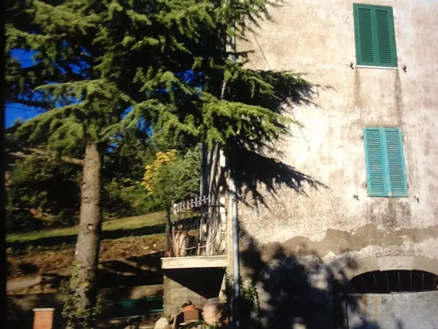 Immagine 21 di Casa indipendente in vendita  a Semproniano