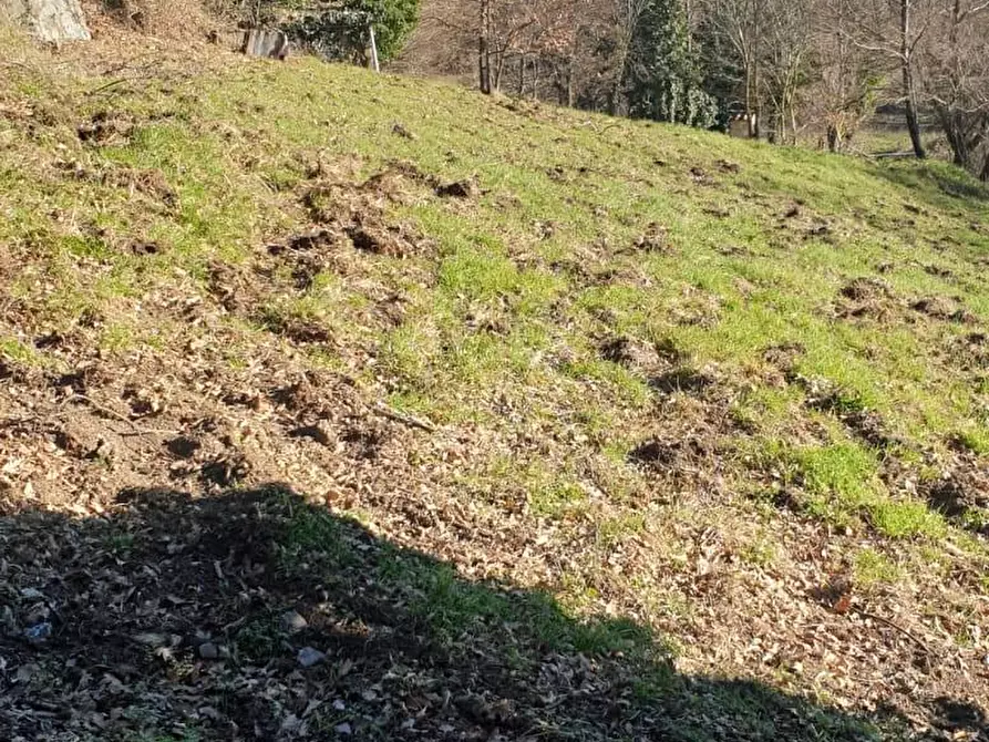 Immagine 8 di Casa indipendente in vendita  a Semproniano