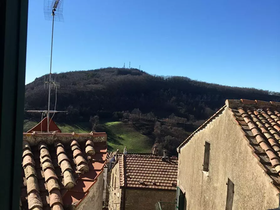 Immagine 24 di Appartamento in vendita  a Semproniano