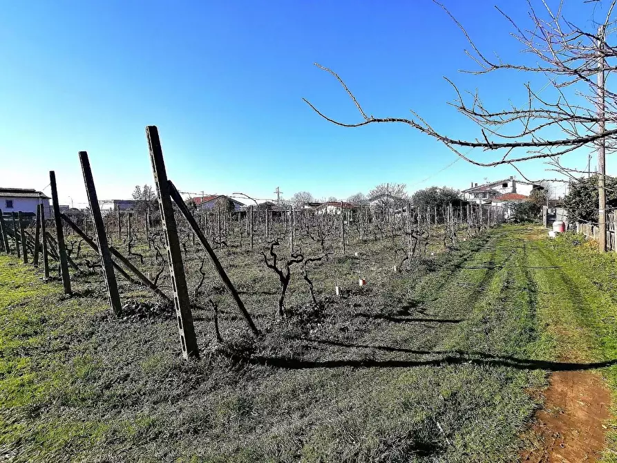 Immagine 1 di Terreno agricolo in vendita  a Massa