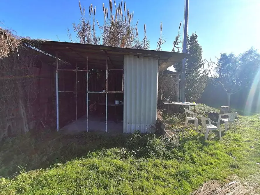 Immagine 2 di Terreno agricolo in vendita  a Massa