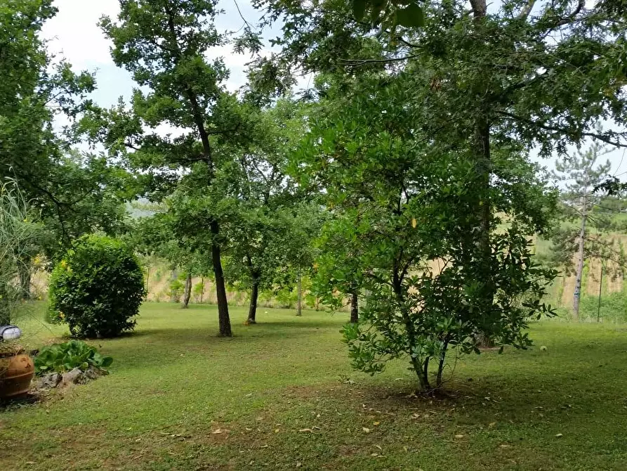 Immagine 10 di Porzione di casa in vendita  a Monteriggioni