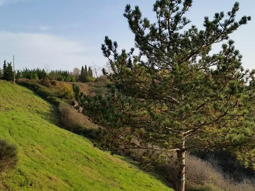 Immagine 13 di Porzione di casa in vendita  a Monteriggioni