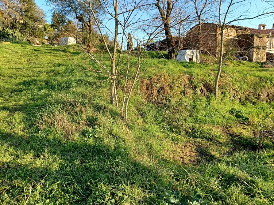 Immagine 7 di Deposito in vendita  a Capraia E Limite