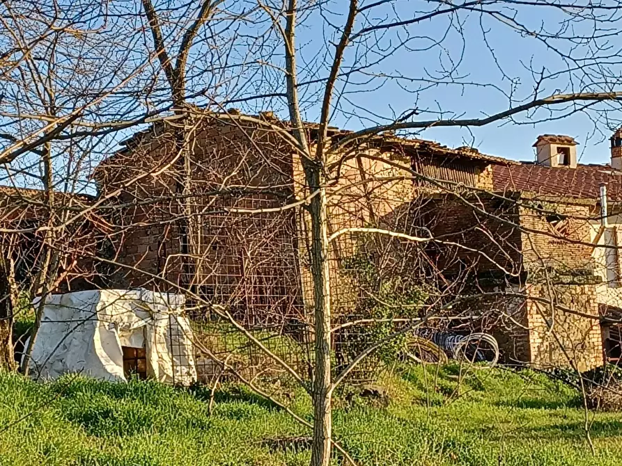 Immagine 6 di Deposito in vendita  a Capraia E Limite