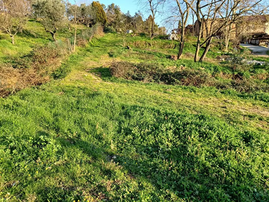 Immagine 9 di Deposito in vendita  a Capraia E Limite