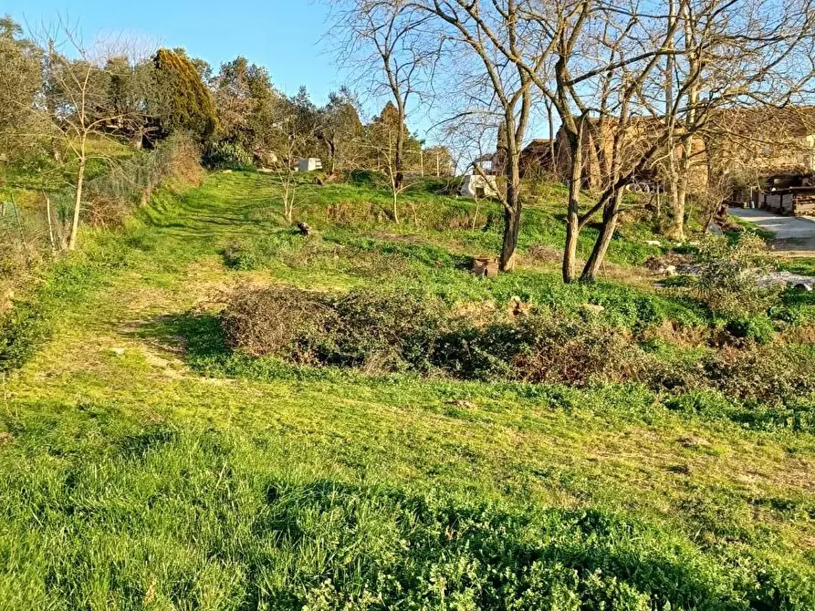 Immagine 8 di Deposito in vendita  a Capraia E Limite