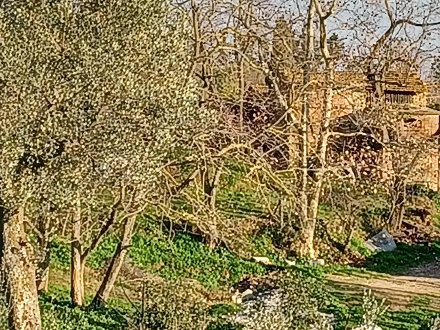 Immagine 11 di Deposito in vendita  a Capraia E Limite