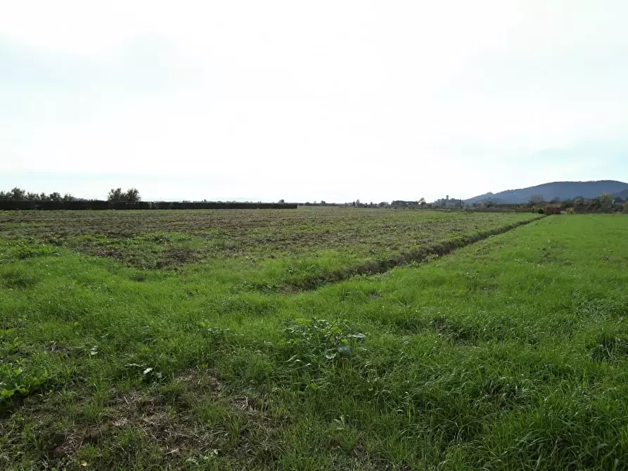 Immagine 12 di Rustico / casale in vendita  a Pisa