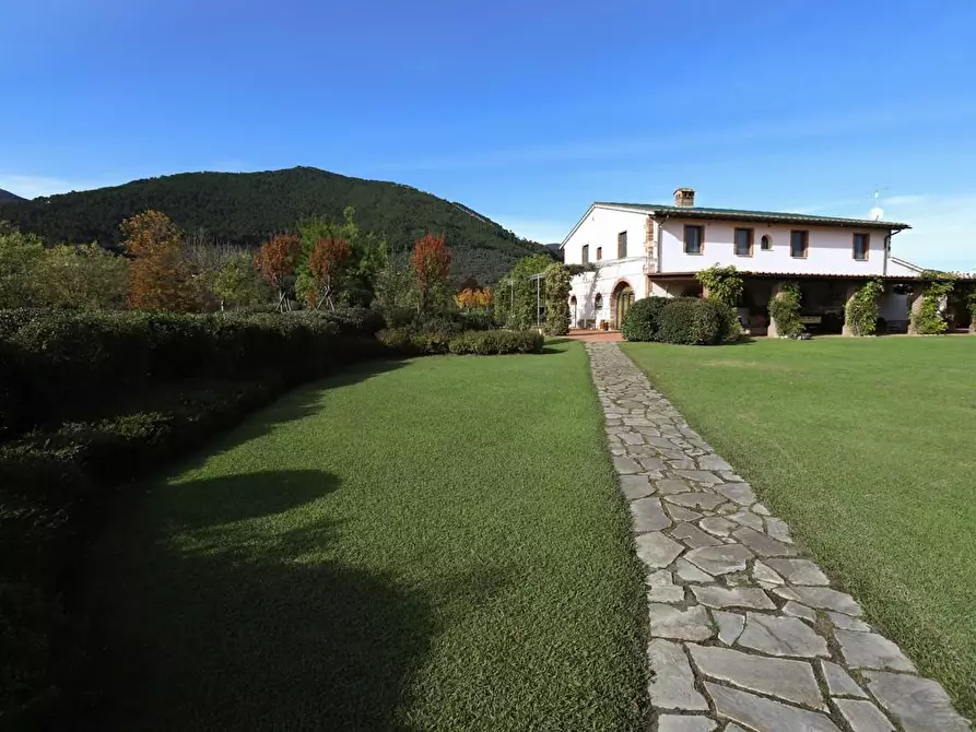 Immagine 81 di Rustico / casale in vendita  a Pisa