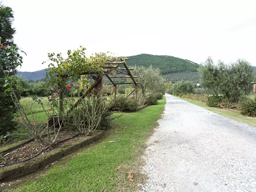 Immagine 21 di Rustico / casale in vendita  a Pisa