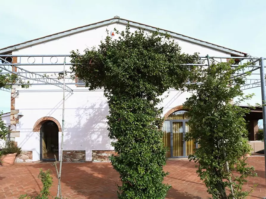 Immagine 43 di Rustico / casale in vendita  a Pisa