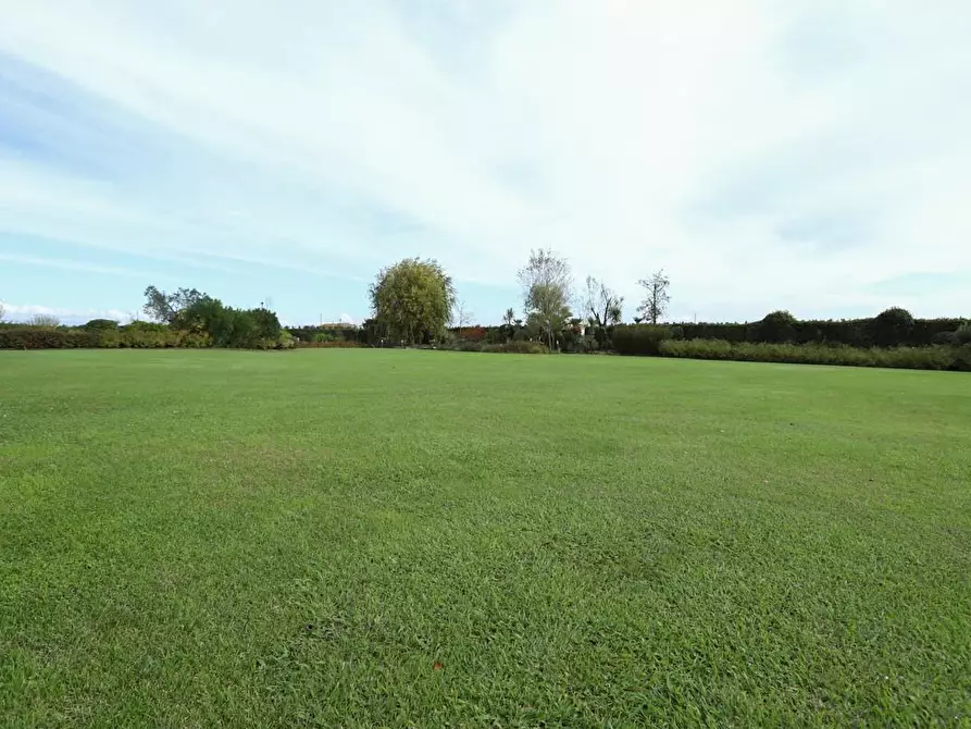 Immagine 26 di Rustico / casale in vendita  a Pisa