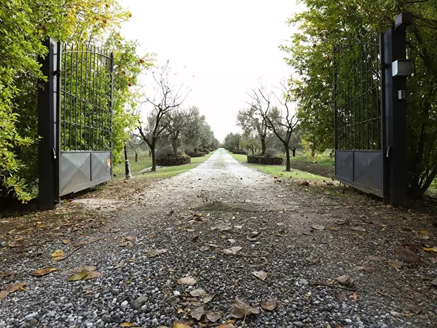 Immagine 10 di Rustico / casale in vendita  a Pisa