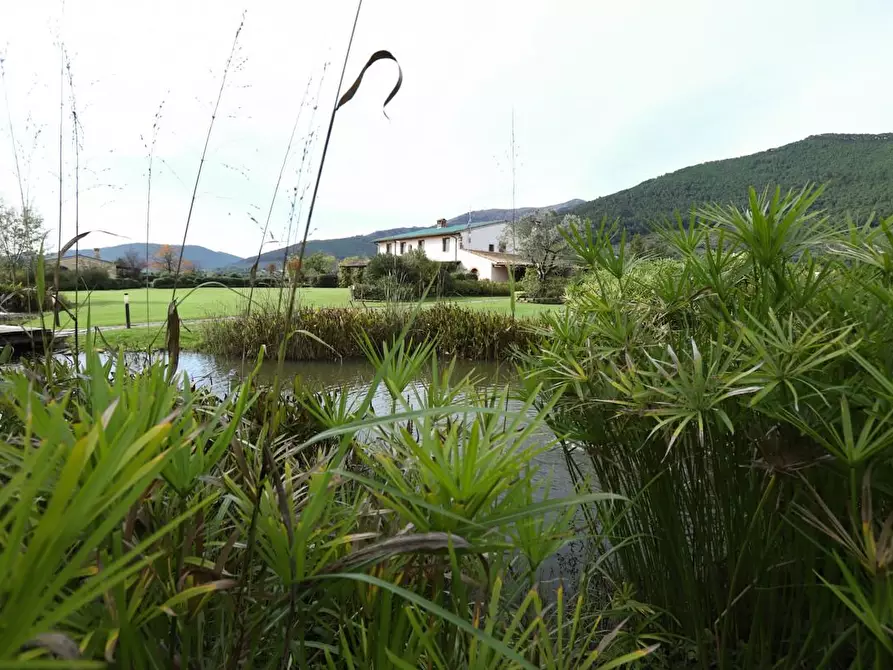 Immagine 35 di Rustico / casale in vendita  a Pisa