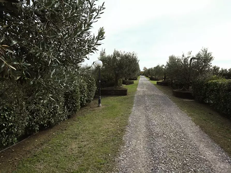 Immagine 13 di Rustico / casale in vendita  a Pisa