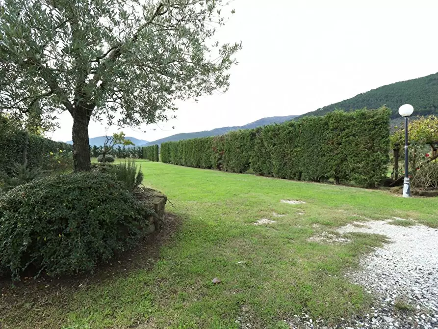 Immagine 19 di Rustico / casale in vendita  a Pisa