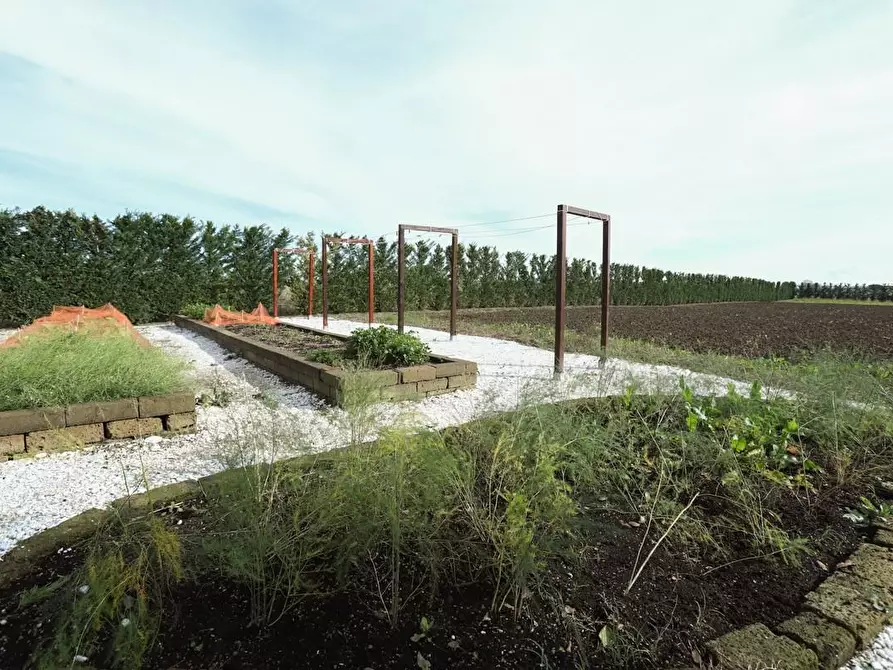 Immagine 49 di Rustico / casale in vendita  a Pisa