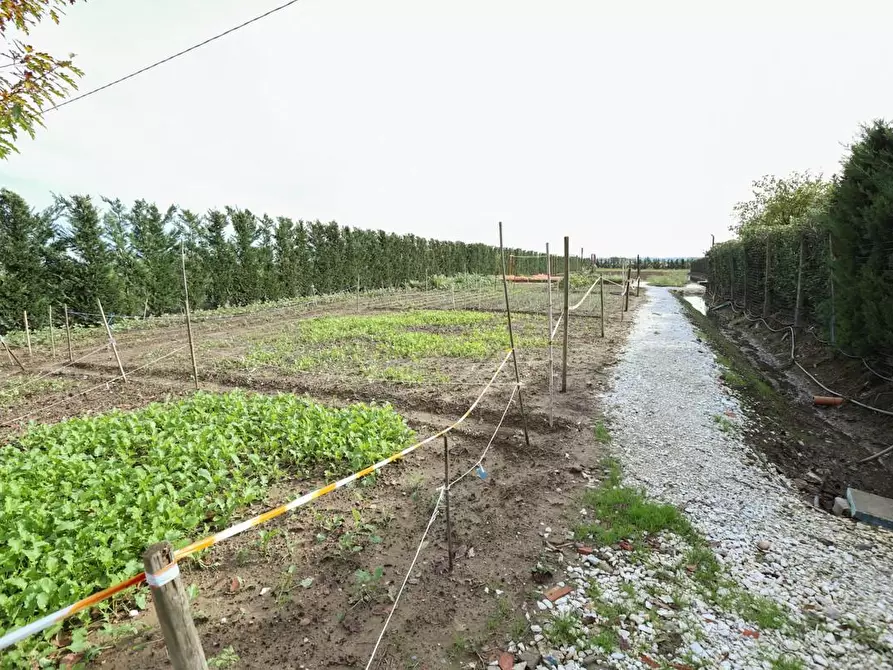 Immagine 47 di Rustico / casale in vendita  a Pisa