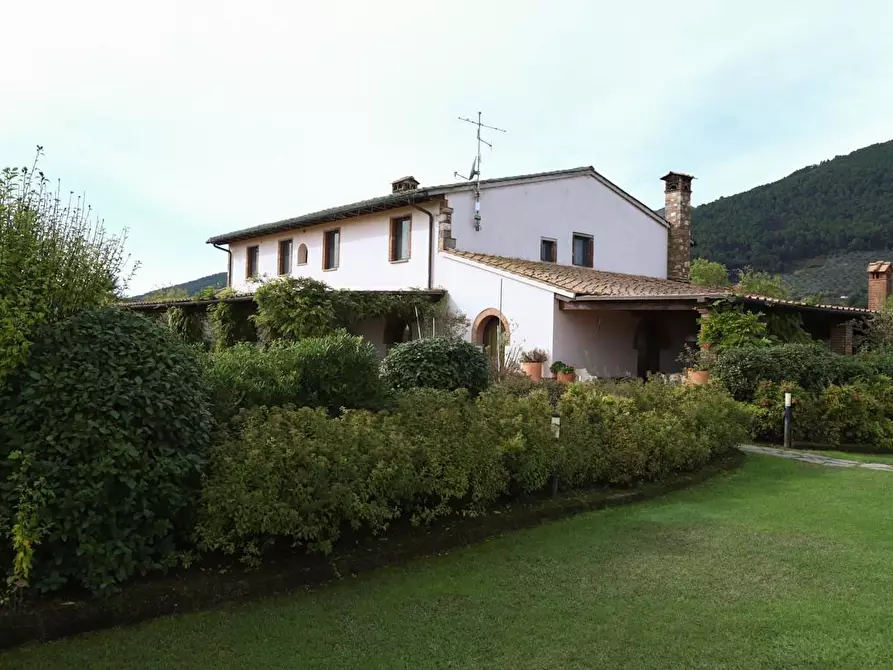 Immagine 29 di Rustico / casale in vendita  a Pisa