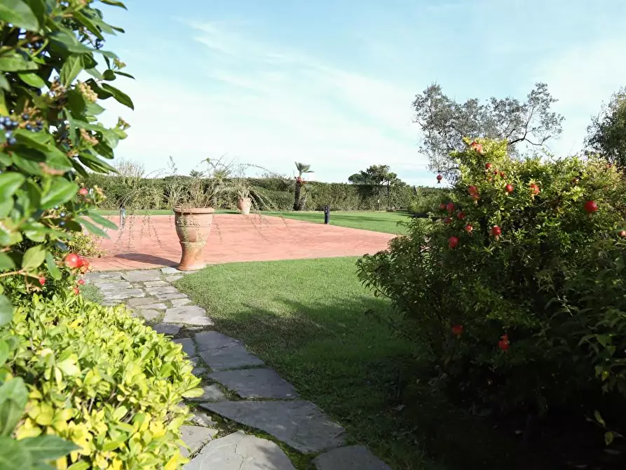 Immagine 6 di Rustico / casale in vendita  a Pisa