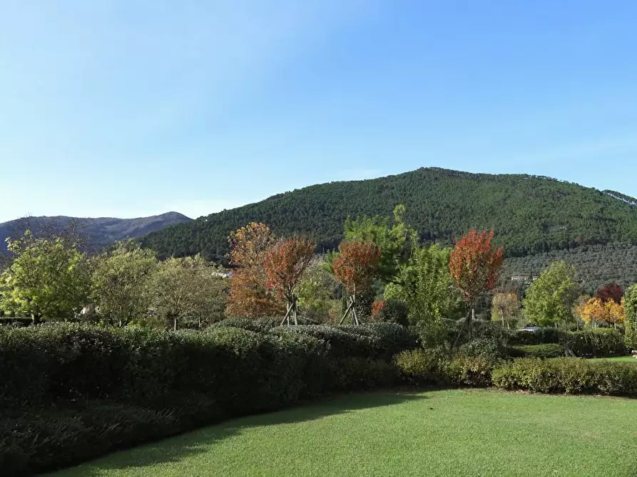 Immagine 82 di Rustico / casale in vendita  a Pisa