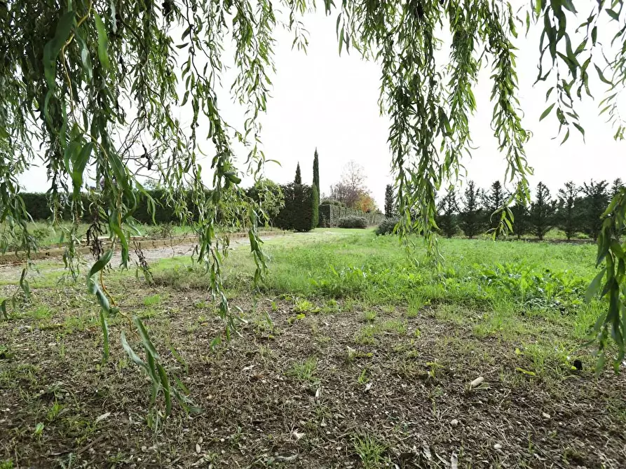 Immagine 17 di Rustico / casale in vendita  a Pisa