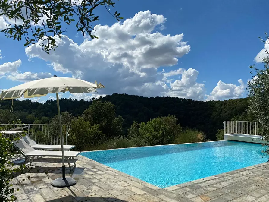 Immagine 30 di Casa colonica in vendita  a Montopoli In Val D'arno