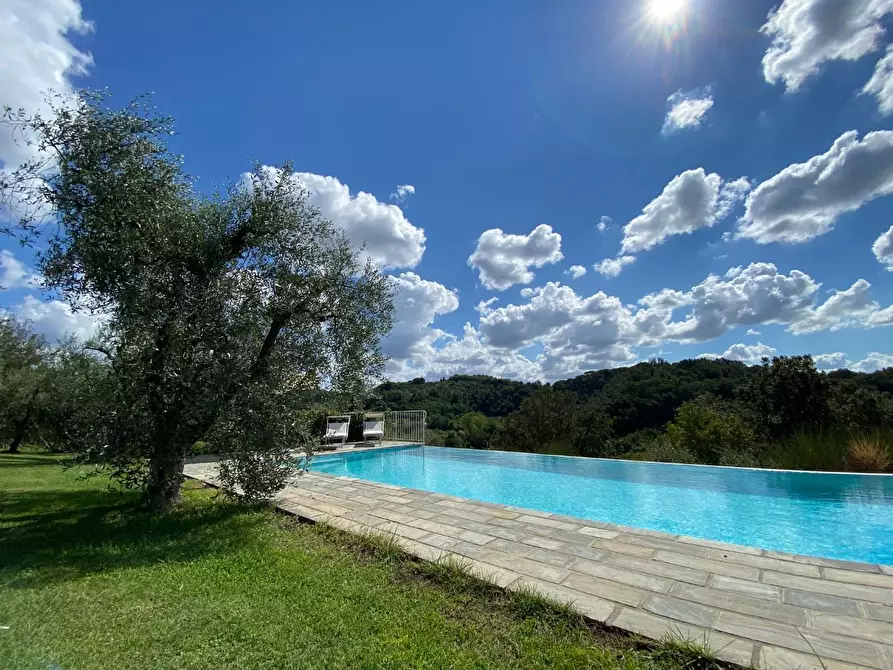 Immagine 28 di Casa colonica in vendita  a Montopoli In Val D'arno