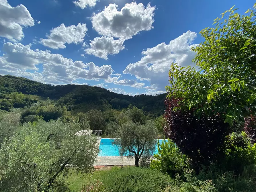 Immagine 27 di Casa colonica in vendita  a Montopoli In Val D'arno
