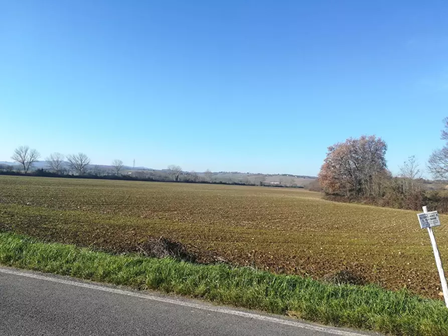 Immagine 1 di Terreno agricolo in vendita  a Monteriggioni