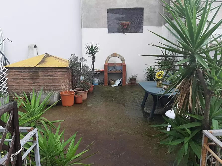 Immagine 2 di Appartamento in vendita  a Cecina