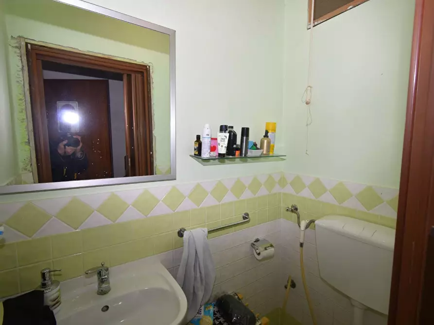 Immagine 12 di Appartamento in vendita  a Vecchiano