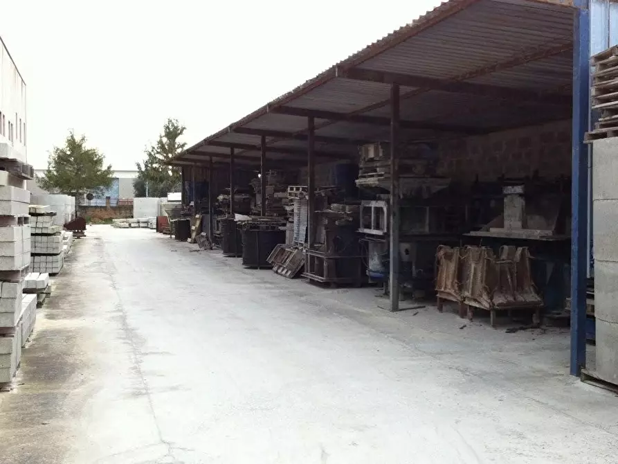 Immagine 5 di Attività artigianale in vendita  a San Vincenzo