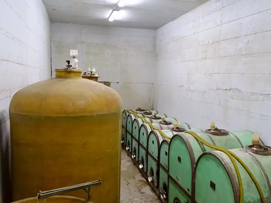 Immagine 89 di Azienda agricola in vendita  a San Miniato