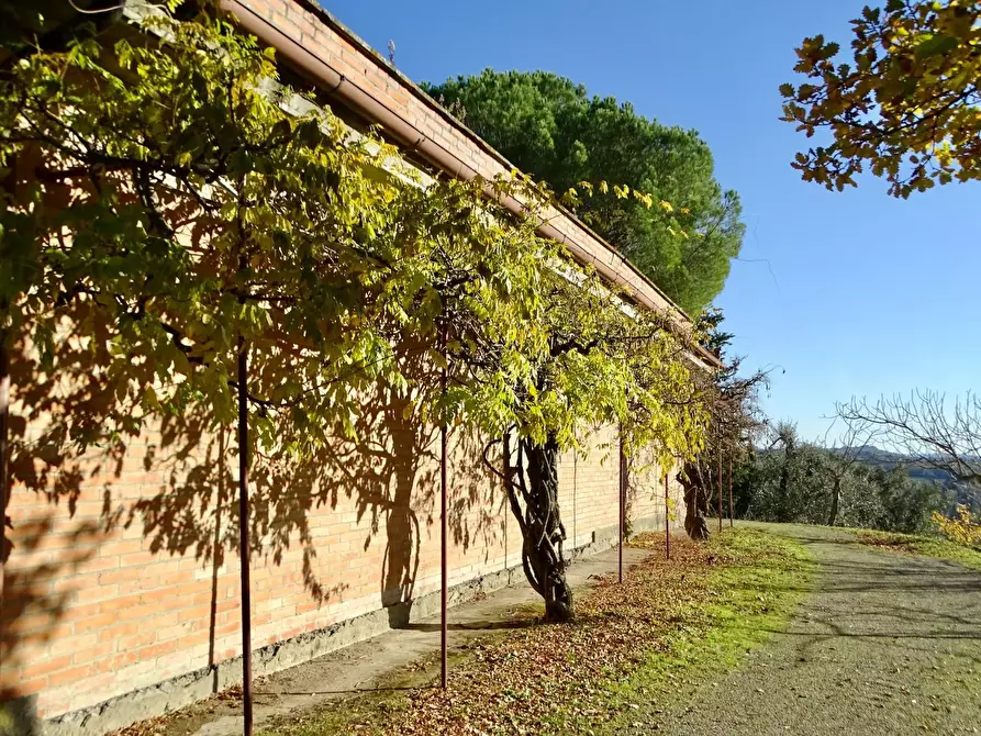 Immagine 82 di Azienda agricola in vendita  a San Miniato