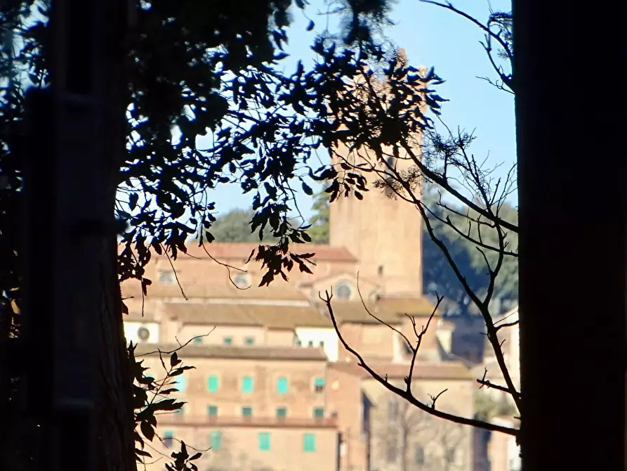 Immagine 30 di Azienda agricola in vendita  a San Miniato