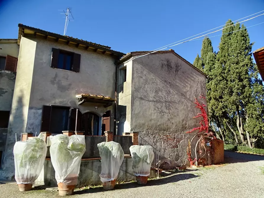 Immagine 70 di Azienda agricola in vendita  a San Miniato