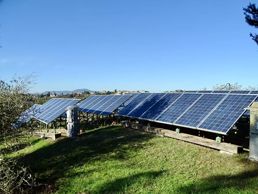 Immagine 97 di Azienda agricola in vendita  a San Miniato