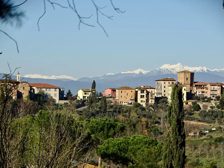 Immagine 4 di Azienda agricola in vendita  a San Miniato