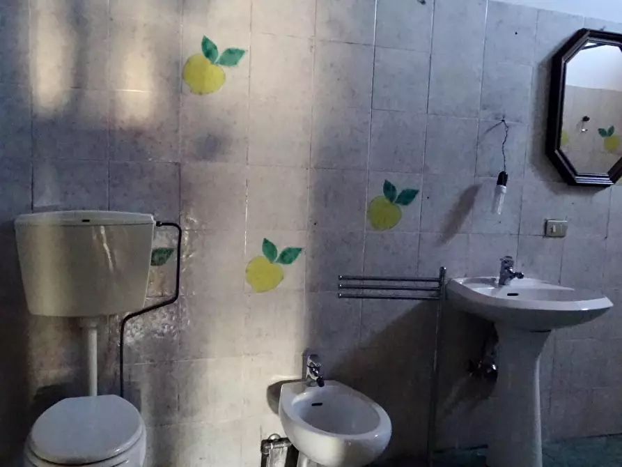 Immagine 76 di Azienda agricola in vendita  a San Miniato