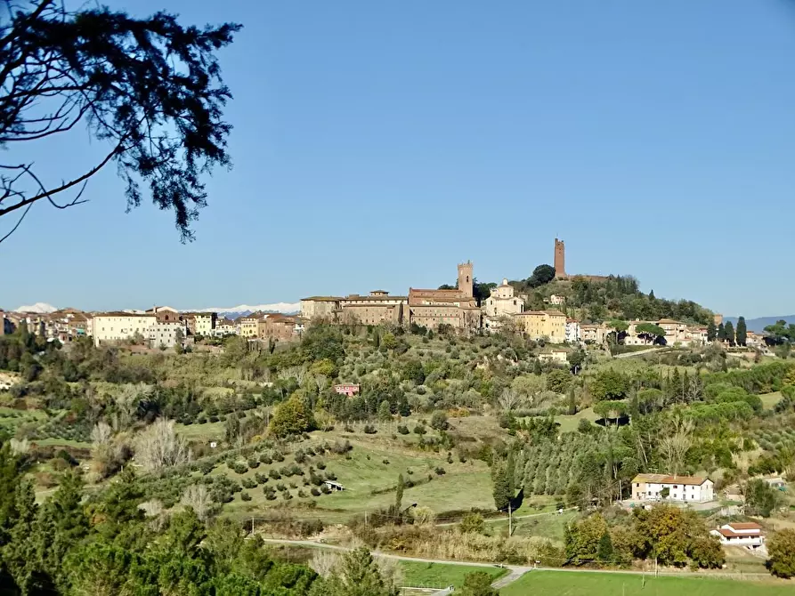 Immagine 3 di Azienda agricola in vendita  a San Miniato