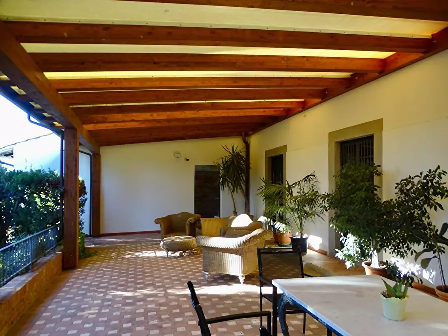 Immagine 33 di Azienda agricola in vendita  a San Miniato