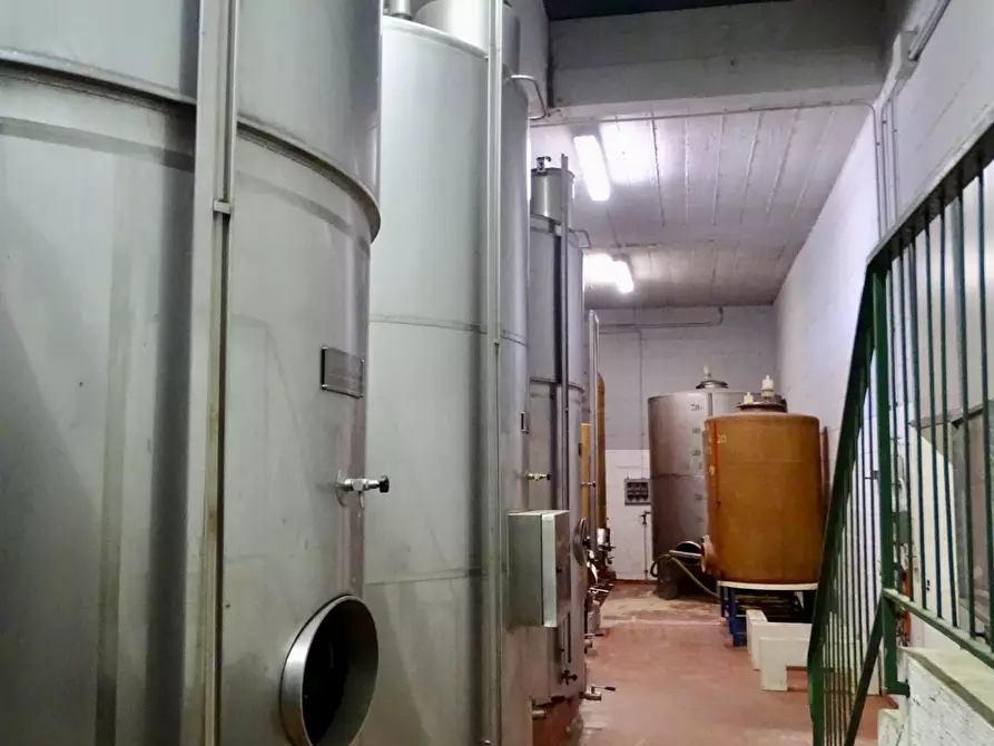 Immagine 87 di Azienda agricola in vendita  a San Miniato