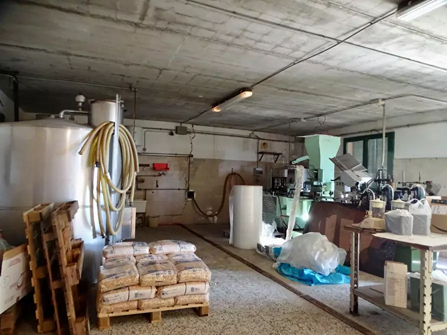 Immagine 83 di Azienda agricola in vendita  a San Miniato